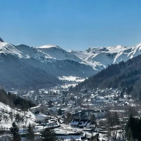 Apartamento : Grand 36m² Au Pied Des Pistes, 4 Pers, Confort&local à Skis - Fr-1-415-155 Mont-Dore